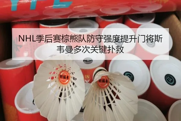 NHL季后赛棕熊队防守强度提升门将斯韦曼多次关键扑救