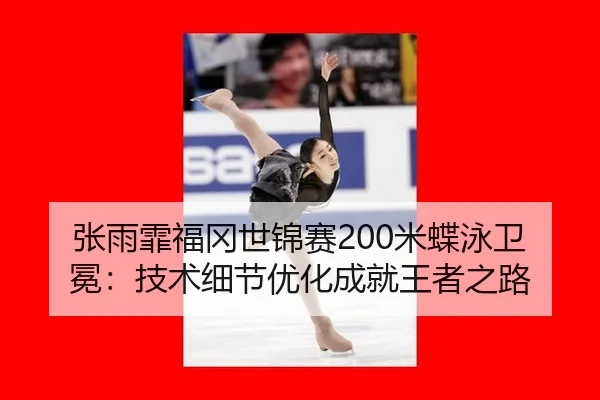 zhang-yu-fei-fu-gang-shi-jin-sai-mi-die-yong-wei-mian-ji-shu-xi-jie-you-hua-cheng-jiu-wang-zhe-zhi-lu-2-739.jpg